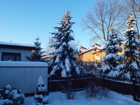 Kliknij na zdjęcie, żeby zobaczyć w pełnych wymiarach