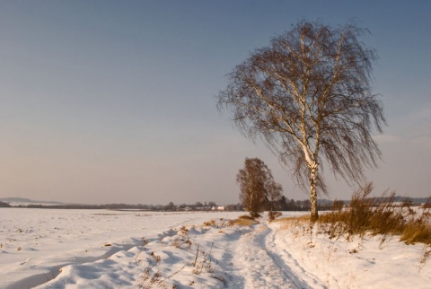 Kliknij na zdjęcie, żeby zobaczyć w pełnych wymiarach