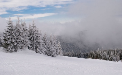 Kliknij na zdjęcie, żeby zobaczyć w pełnych wymiarach
