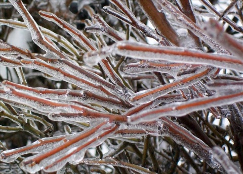 Kliknij na zdjęcie, żeby zobaczyć w pełnych wymiarach