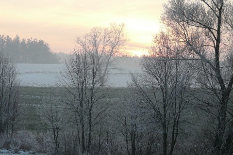 Kliknij na zdjęcie, żeby zobaczyć w pełnych wymiarach