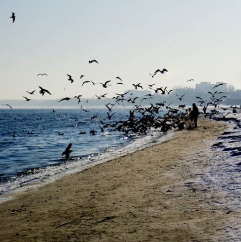 Kliknij na zdjęcie, żeby zobaczyć w pełnych wymiarach