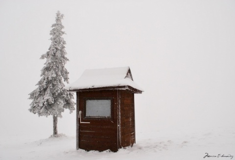 Kliknij na zdjęcie, żeby zobaczyć w pełnych wymiarach