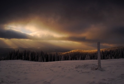 Kliknij na zdjęcie, żeby zobaczyć w pełnych wymiarach
