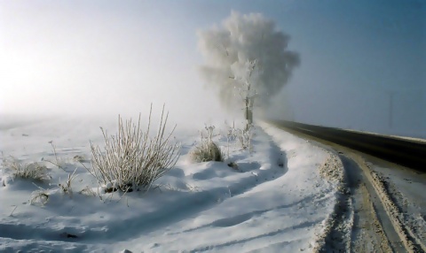 Kliknij na zdjęcie, żeby zobaczyć w pełnych wymiarach