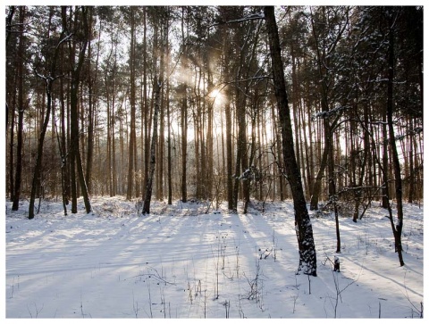 Kliknij na zdjęcie, żeby zobaczyć w pełnych wymiarach