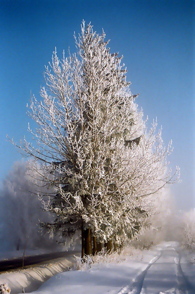 Kliknij na zdjęcie, żeby zobaczyć w pełnych wymiarach