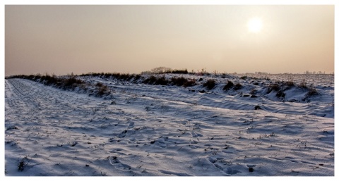 Kliknij na zdjęcie, żeby zobaczyć w pełnych wymiarach