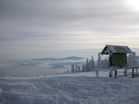 Kliknij na zdjęcie, żeby zobaczyć w pełnych wymiarach