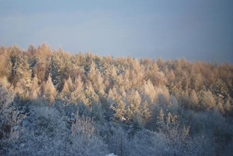 Kliknij na zdjęcie, żeby zobaczyć w pełnych wymiarach