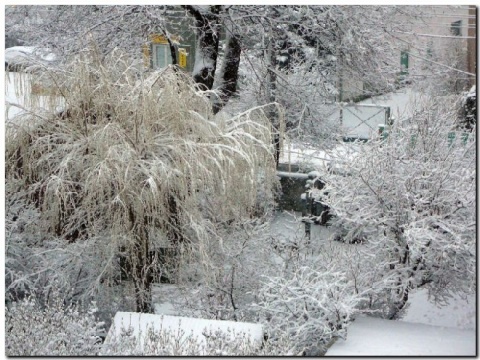 Kliknij na zdjęcie, żeby zobaczyć w pełnych wymiarach