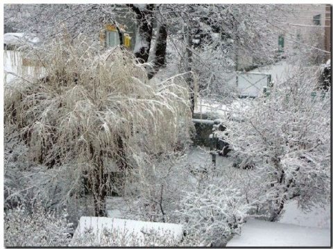 Kliknij na zdjęcie, żeby zobaczyć w pełnych wymiarach