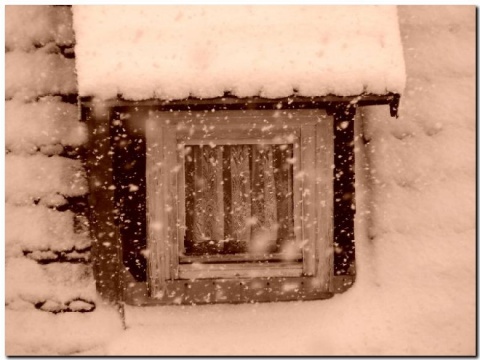 Kliknij na zdjęcie, żeby zobaczyć w pełnych wymiarach