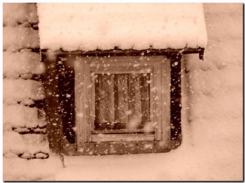 Kliknij na zdjęcie, żeby zobaczyć w pełnych wymiarach