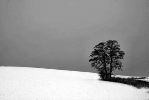Kliknij na zdjęcie, żeby zobaczyć w pełnych wymiarach