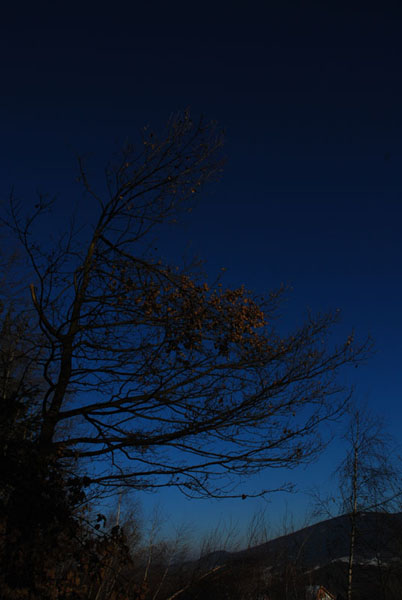 Kliknij na zdjęcie, żeby zobaczyć w pełnych wymiarach