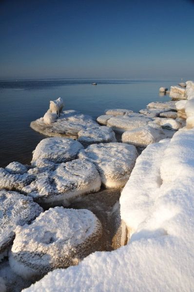 Kliknij na zdjęcie, żeby zobaczyć w pełnych wymiarach