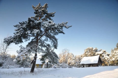 Kliknij na zdjęcie, żeby zobaczyć w pełnych wymiarach