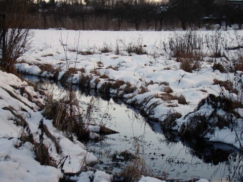 Kliknij na zdjęcie, żeby zobaczyć w pełnych wymiarach
