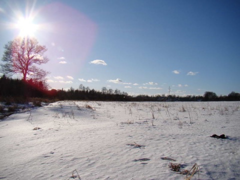 Kliknij na zdjęcie, żeby zobaczyć w pełnych wymiarach