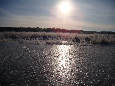 Kliknij na zdjęcie, żeby zobaczyć w pełnych wymiarach