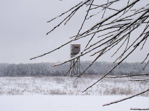 Kliknij na zdjęcie, żeby zobaczyć w pełnych wymiarach