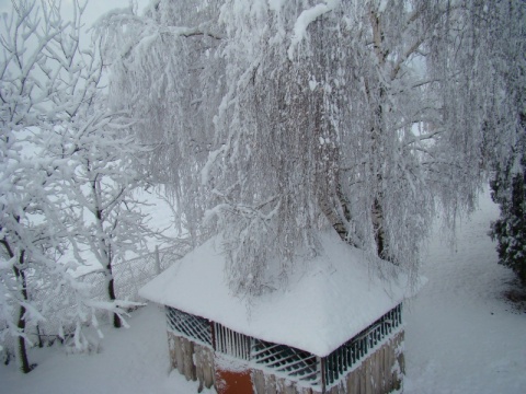 Kliknij na zdjęcie, żeby zobaczyć w pełnych wymiarach