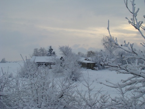 Kliknij na zdjęcie, żeby zobaczyć w pełnych wymiarach