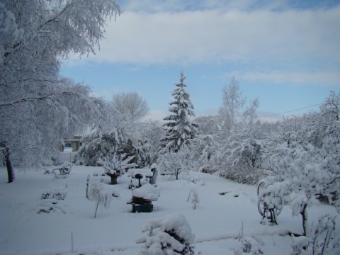 Kliknij na zdjęcie, żeby zobaczyć w pełnych wymiarach