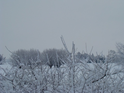 Kliknij na zdjęcie, żeby zobaczyć w pełnych wymiarach