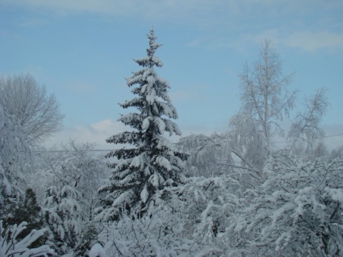 Kliknij na zdjęcie, żeby zobaczyć w pełnych wymiarach
