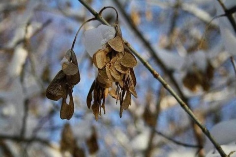 Kliknij na zdjęcie, żeby zobaczyć w pełnych wymiarach