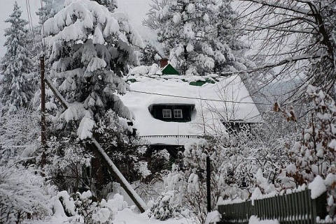 Kliknij na zdjęcie, żeby zobaczyć w pełnych wymiarach