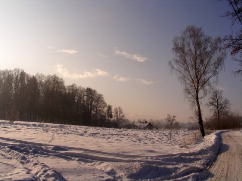 Kliknij na zdjęcie, żeby zobaczyć w pełnych wymiarach