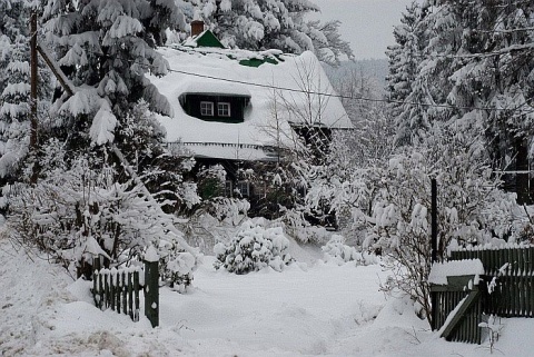 Kliknij na zdjęcie, żeby zobaczyć w pełnych wymiarach