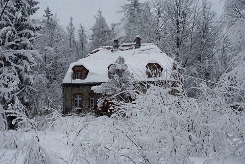 Kliknij na zdjęcie, żeby zobaczyć w pełnych wymiarach