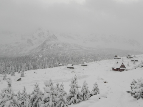 Kliknij na zdjęcie, żeby zobaczyć w pełnych wymiarach