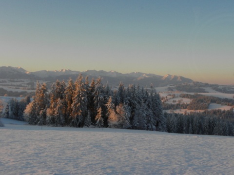 Kliknij na zdjęcie, żeby zobaczyć w pełnych wymiarach