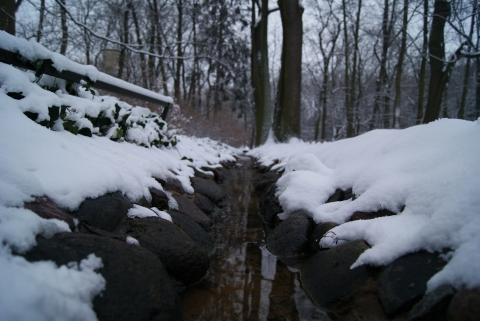 Kliknij na zdjęcie, żeby zobaczyć w pełnych wymiarach