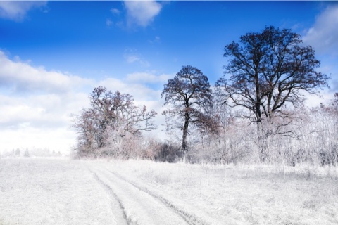 Kliknij na zdjęcie, żeby zobaczyć w pełnych wymiarach
