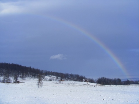 Kliknij na zdjęcie, żeby zobaczyć w pełnych wymiarach