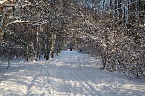 Kliknij na zdjęcie, żeby zobaczyć w pełnych wymiarach