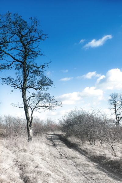 Kliknij na zdjęcie, żeby zobaczyć w pełnych wymiarach