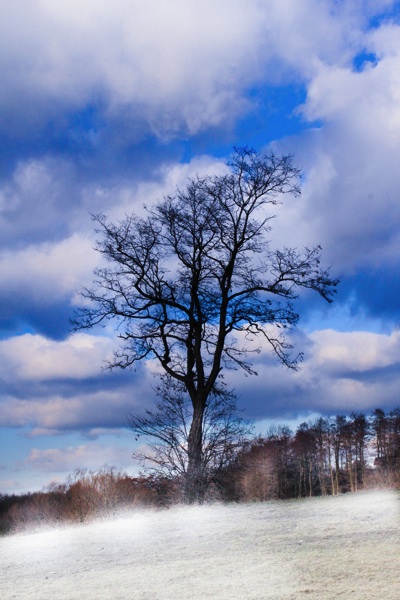 Kliknij na zdjęcie, żeby zobaczyć w pełnych wymiarach