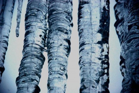 Kliknij na zdjęcie, żeby zobaczyć w pełnych wymiarach