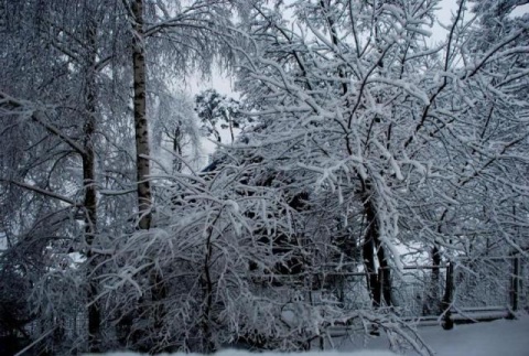 Kliknij na zdjęcie, żeby zobaczyć w pełnych wymiarach