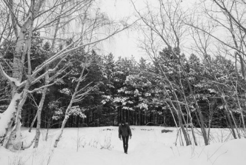 Kliknij na zdjęcie, żeby zobaczyć w pełnych wymiarach