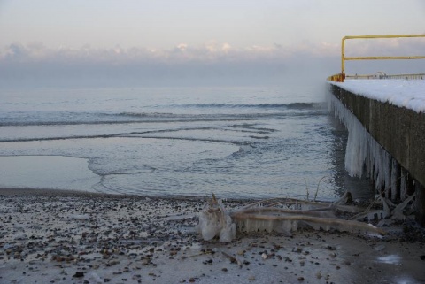 Kliknij na zdjęcie, żeby zobaczyć w pełnych wymiarach