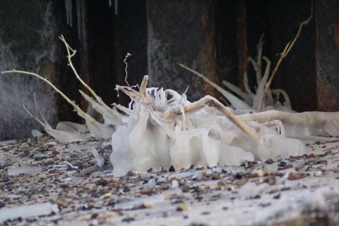 Kliknij na zdjęcie, żeby zobaczyć w pełnych wymiarach
