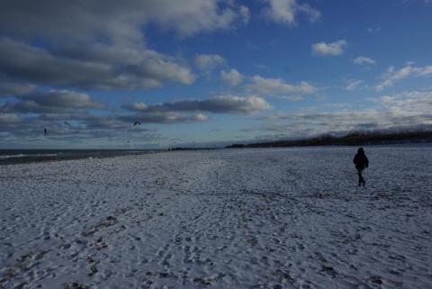 Kliknij na zdjęcie, żeby zobaczyć w pełnych wymiarach